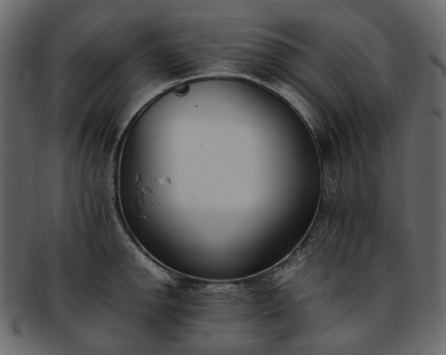 X0000093391142200710191149