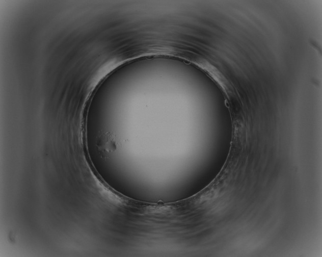 X0000093391143200710191149