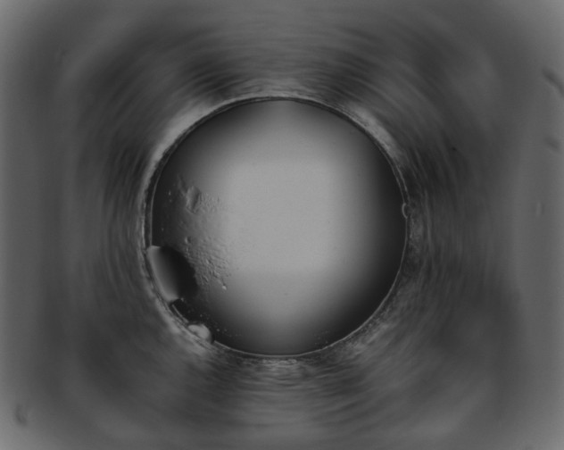 X0000093391144200710191149