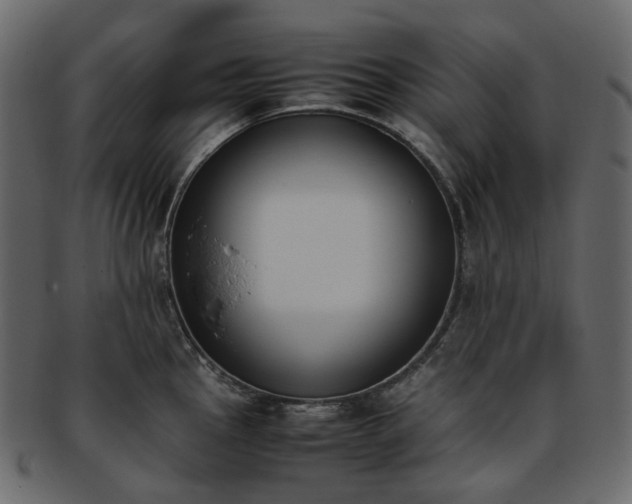 X0000093391145200710191149