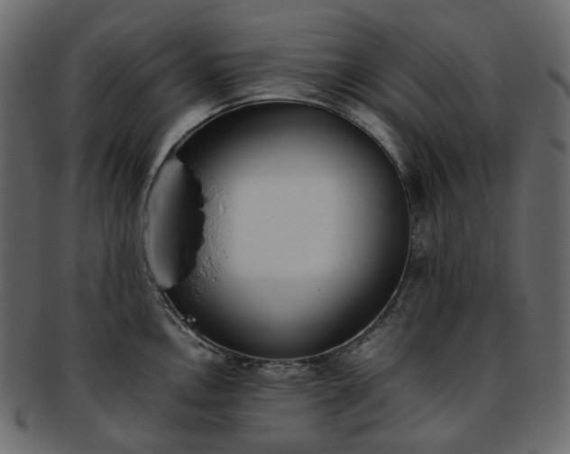 X0000093391146200710191149