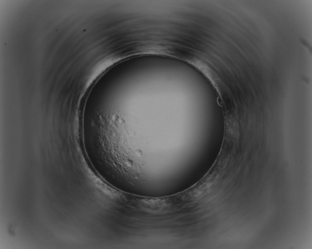 X0000093391147200710191149