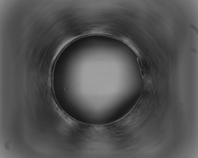 X0000093391148200710191149