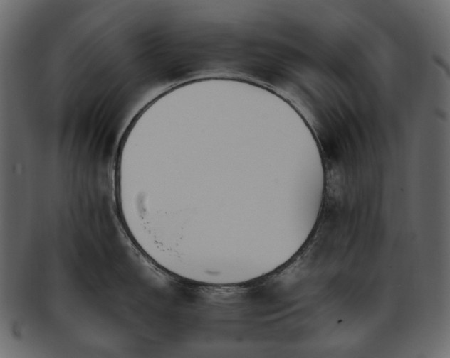 X0000093391150200710191149