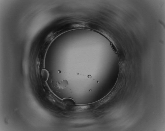 X0000093391151200710191149