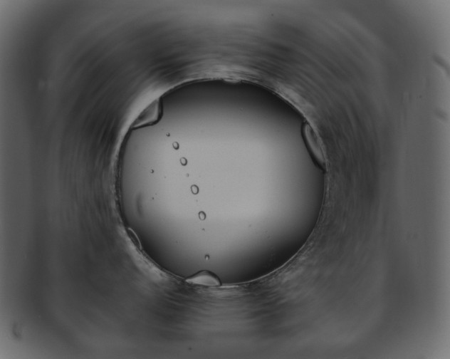 X0000093391152200710191149