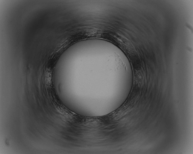 X0000093391154200710191148