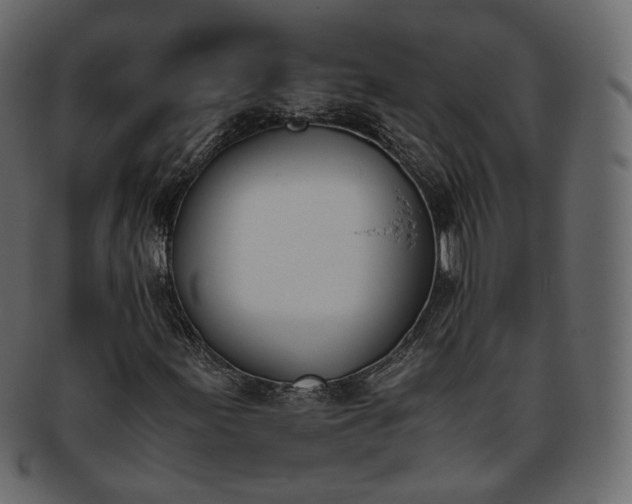 X0000093391155200710191148