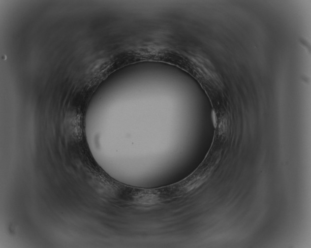 X0000093391156200710191148