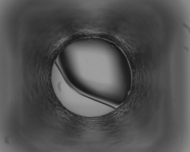 X0000093391157200710191148