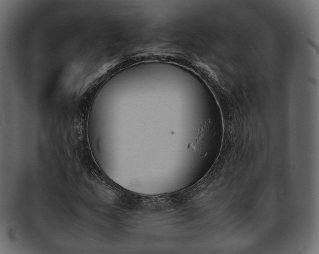 X0000093391159200710191148