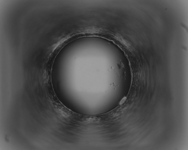 X0000093391160200710191148