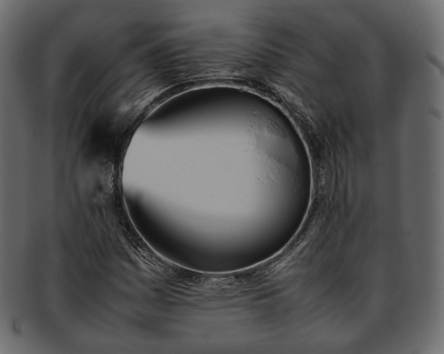 X0000093391161200710191148