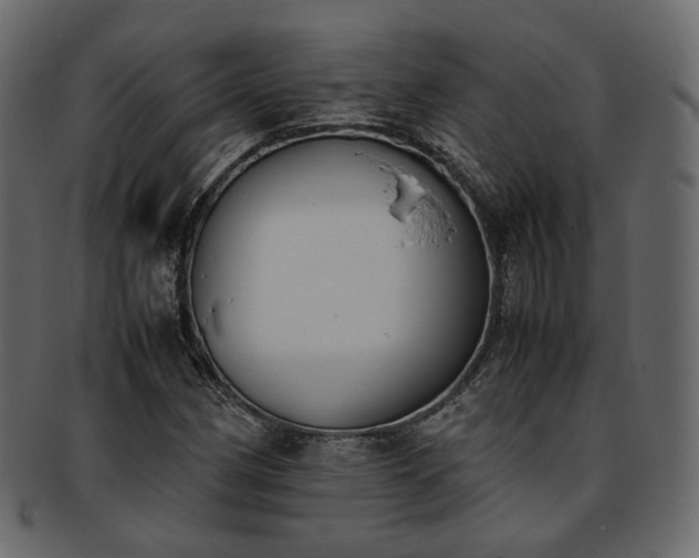 X0000093391162200710191148