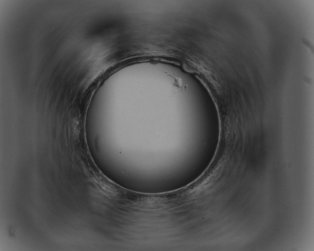 X0000093391163200710191148