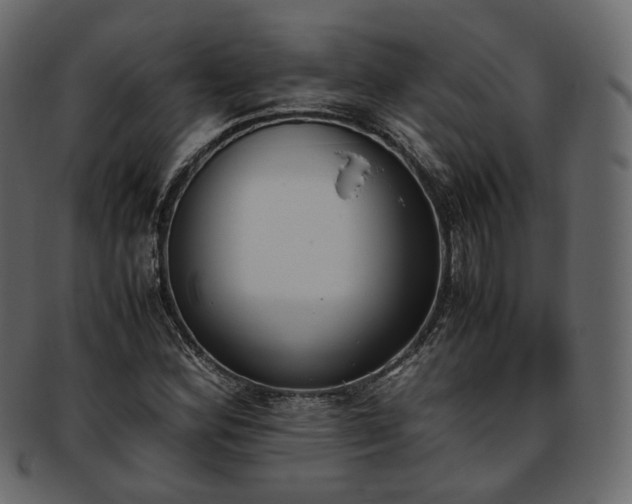 X0000093391164200710191148