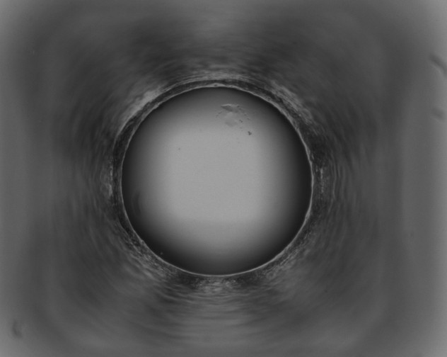 X0000093391165200710191148