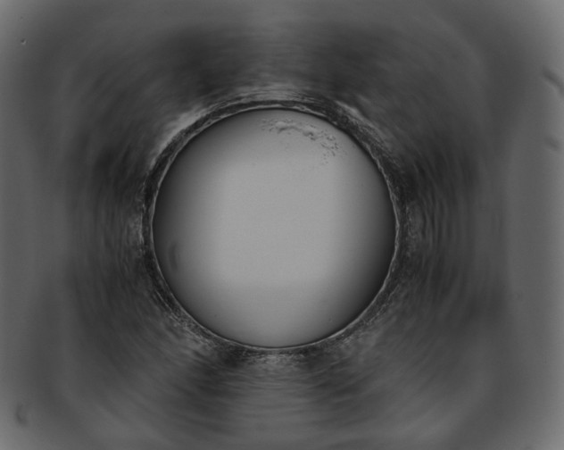 X0000093391166200710191148