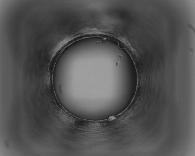 X0000093391167200710191148