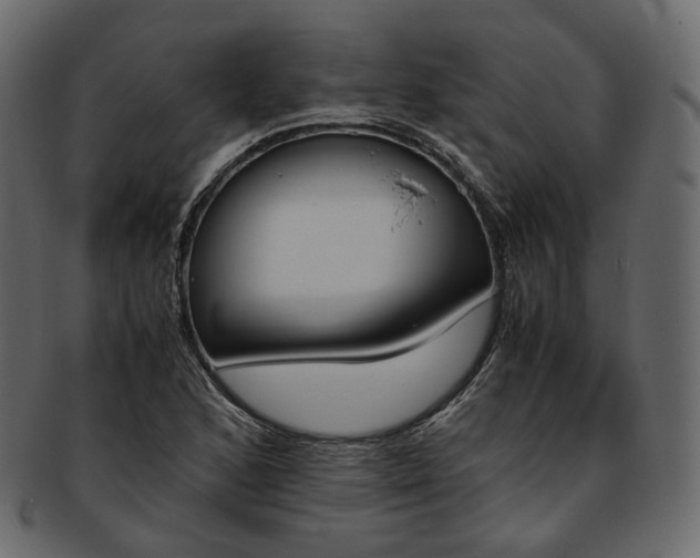 X0000093391168200710191148