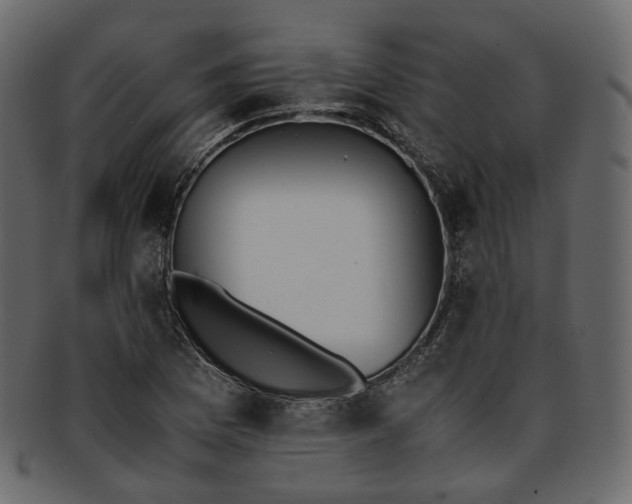 X0000093391169200710191148