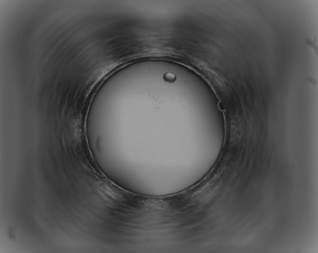 X0000093391170200710191148