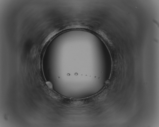 X0000093391173200710191148