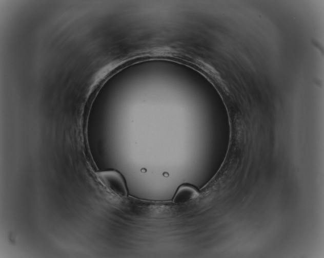 X0000093391176200710191148