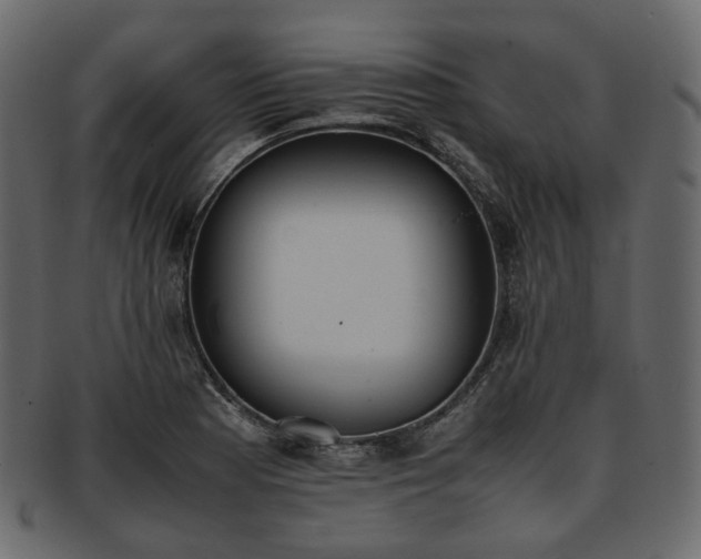 X0000093391177200710191148