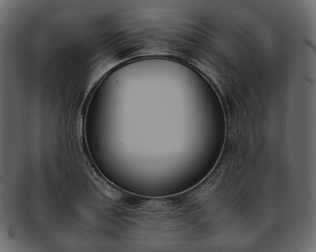 X0000093391179200710191148