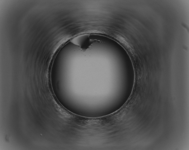 X0000093391181200710191148