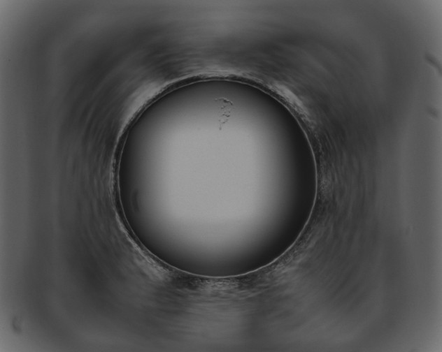 X0000093391183200710191148