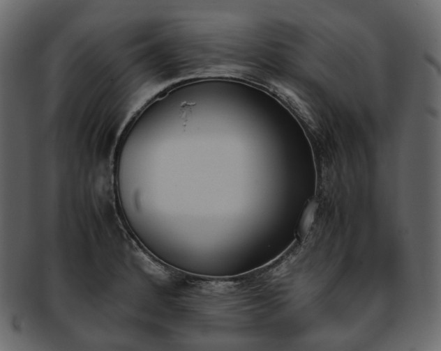 X0000093391184200710191148