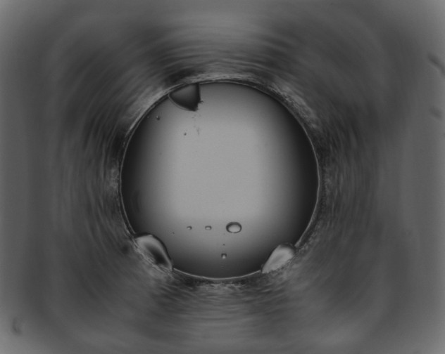 X0000093391185200710191148