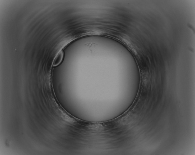 X0000093391186200710191148