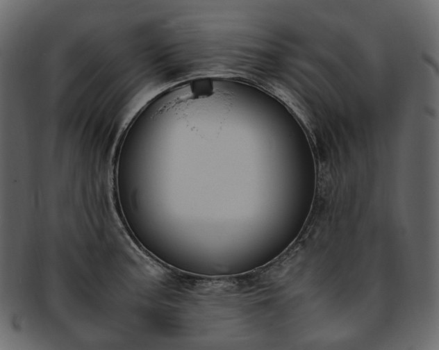 X0000093391187200710191148