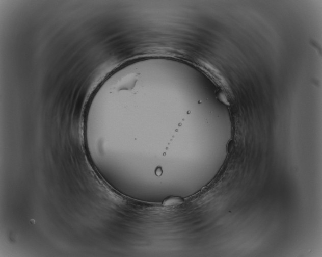 X0000093391188200710191148