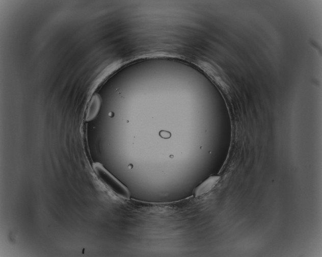 X0000093391189200710191148