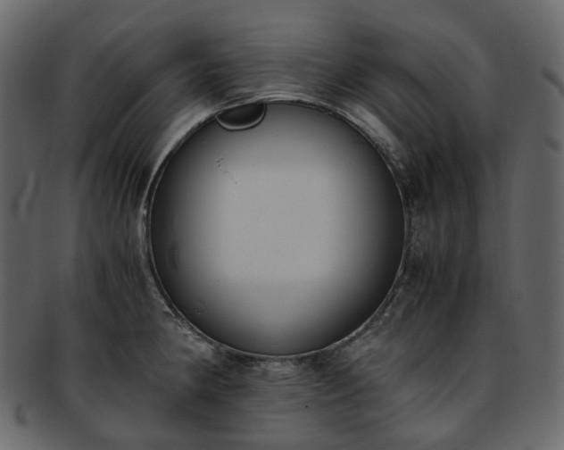 X0000093391190200710191148