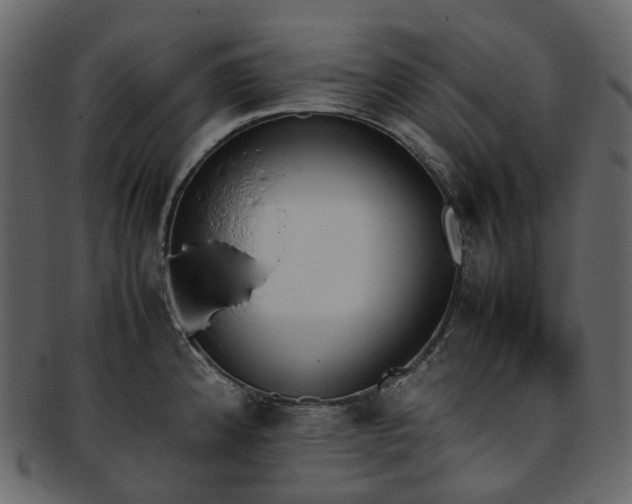 X0000093391192200710191148