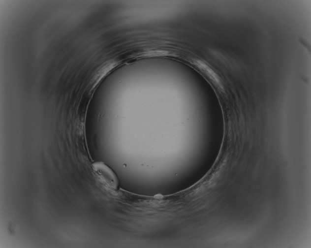 X0000093391193200710191148