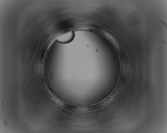 X0000093391194200710191148