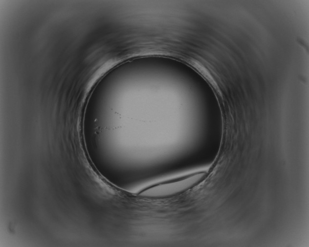 X0000093391197200710191148