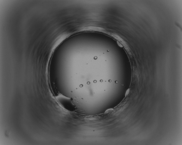 X0000093391199200710191148