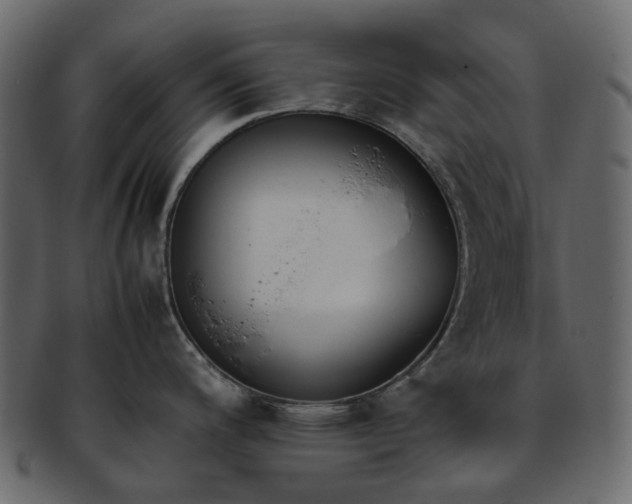 X0000093391200200710191148