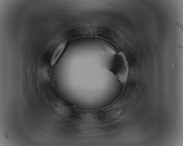 X0000093391202200710191147