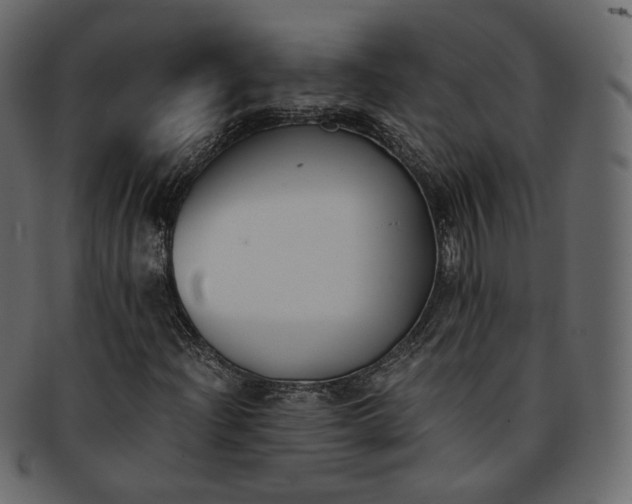 X0000093391204200710191147