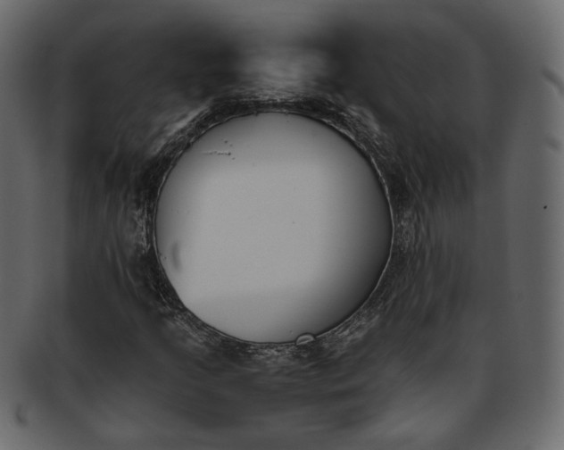 X0000093391205200710191147