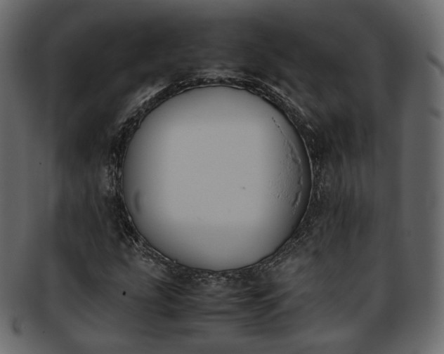 X0000093391207200710191147