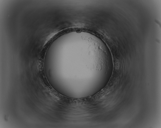 X0000093391208200710191147